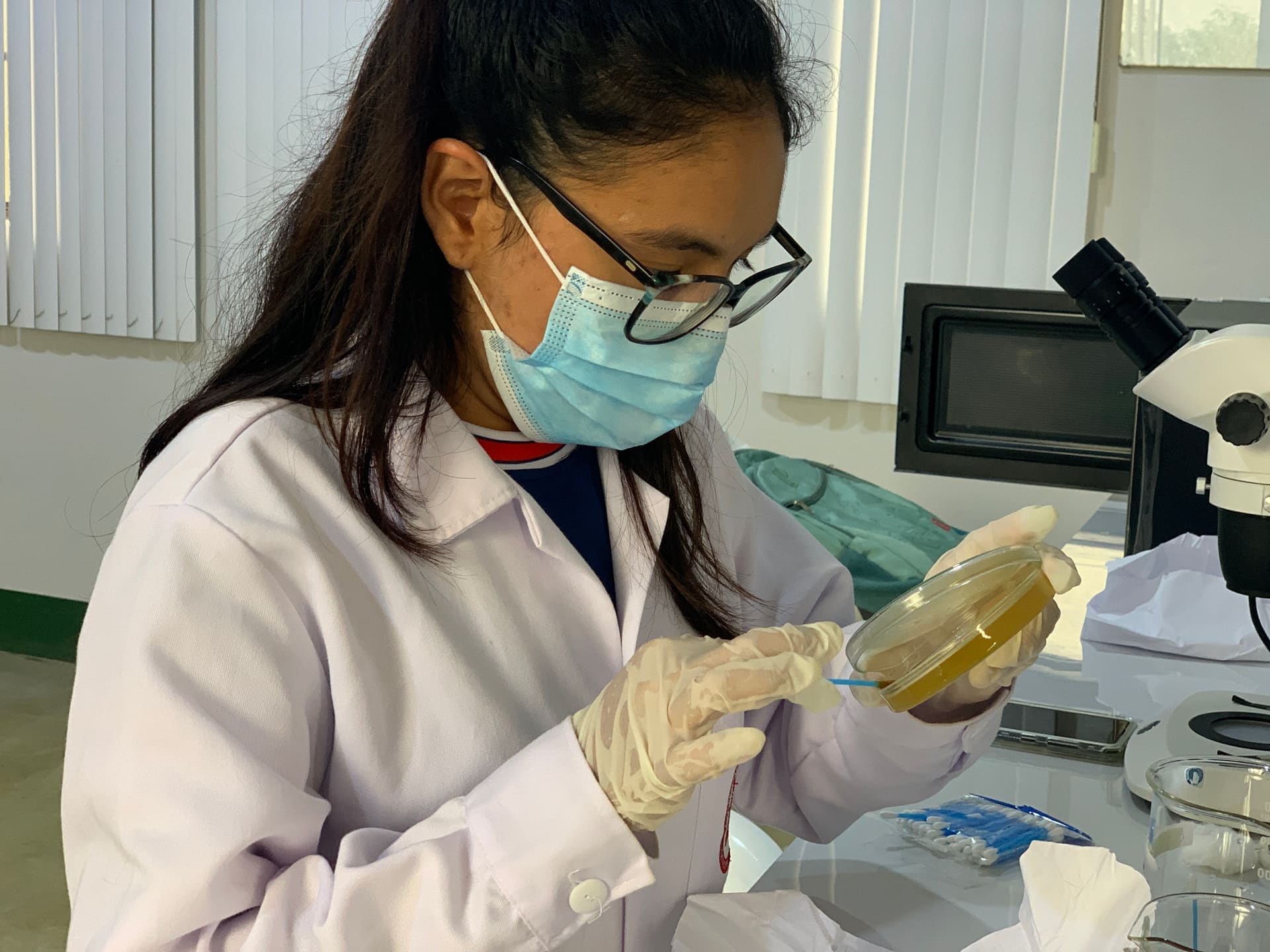 Investigación SEDIR